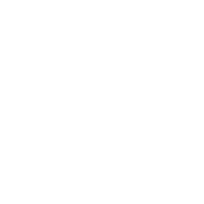 Logo facebook blanc