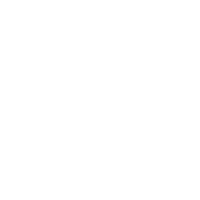 Logo instagram blanc